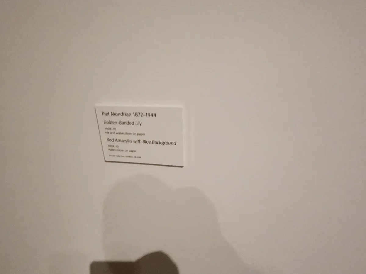 Klimt & Mondrian Gallery Image 19